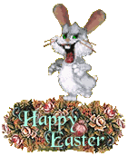 hase