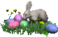 hase