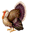 thanksgiving