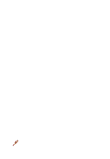 feuerwerk