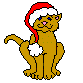 kater