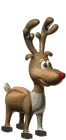 reindeer