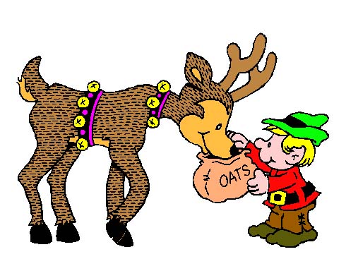 reindeer