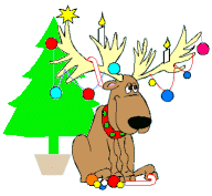 reindeer