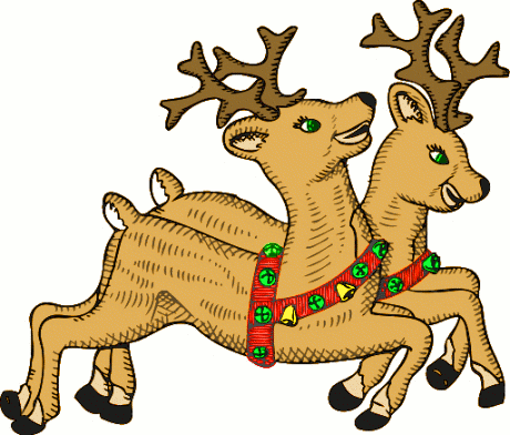 reindeer