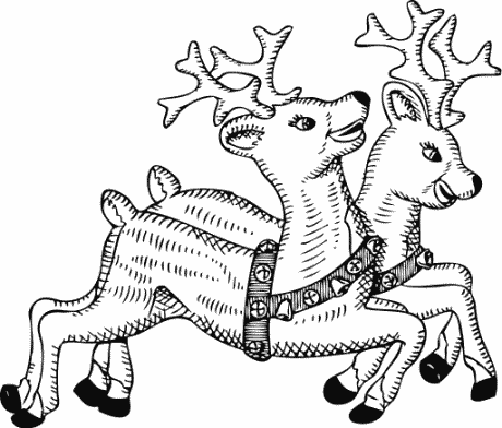 reindeer