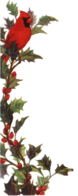 holly