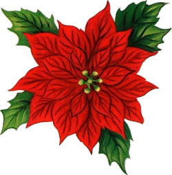 holly
