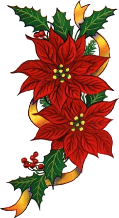 weihnachtsstern