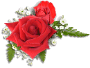 rosen