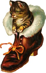 katze