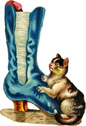 katze