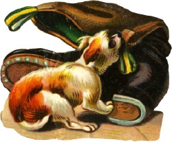 hund