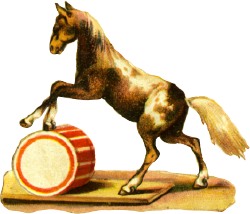 pferd