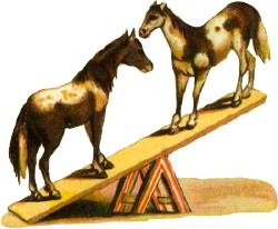 pferd