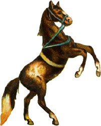 pferd