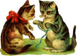 katzen