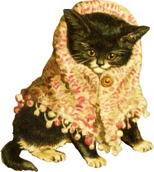 katze