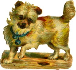 hund