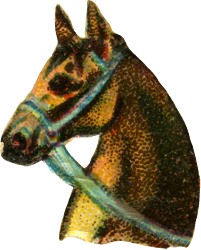 pferd