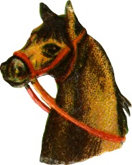 pferd