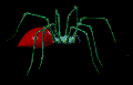 Spinne