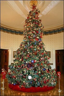 tree pic