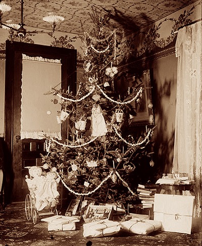tree pic