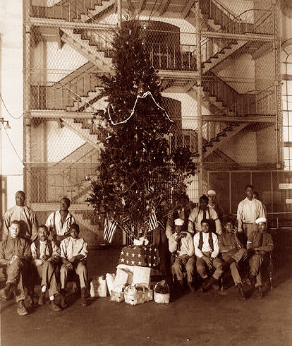 tree pic