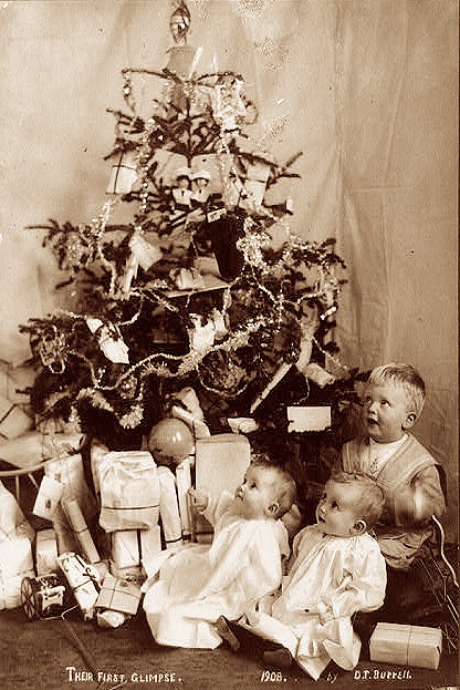 tree pic