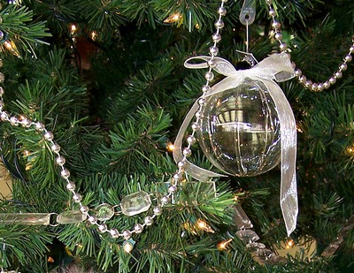 tree pic