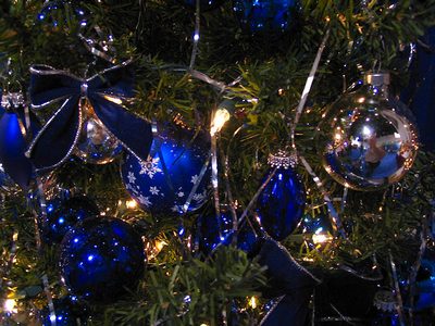 tree pic