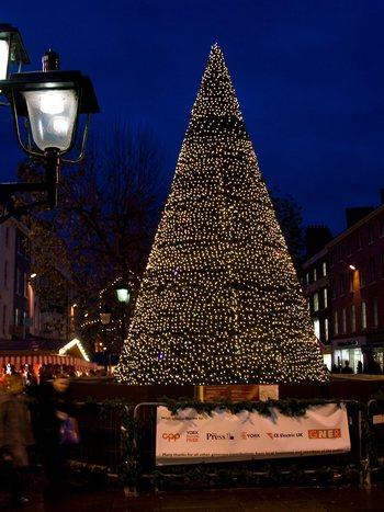 tree pic