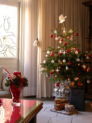 tree pic