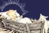 nativity