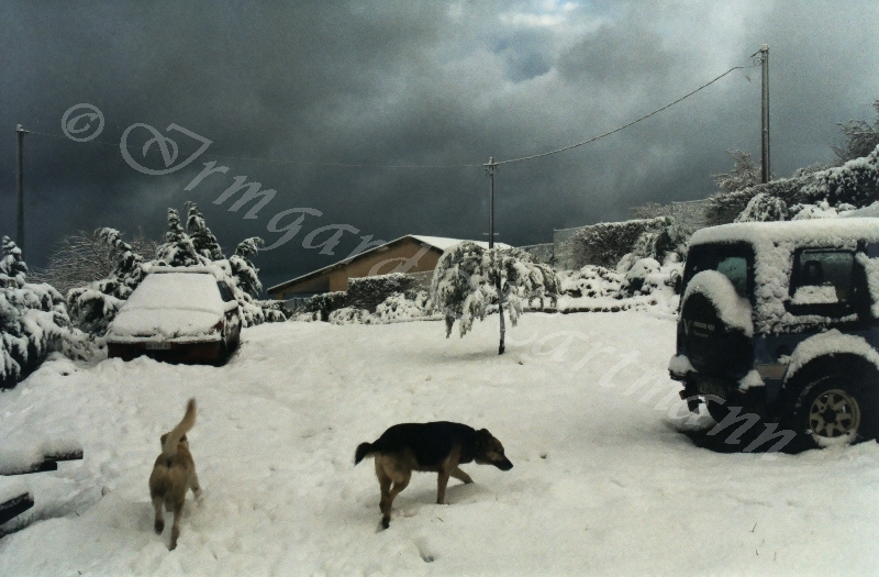 Landscape